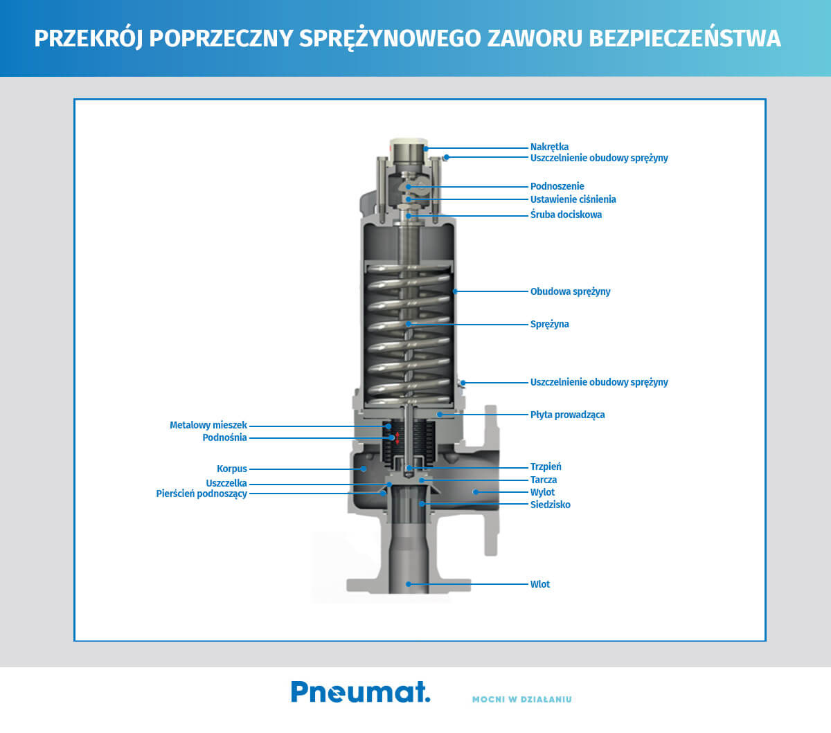 Schemat przekroju poprzecznego sprężynowego zaworu bezpieczeństwa